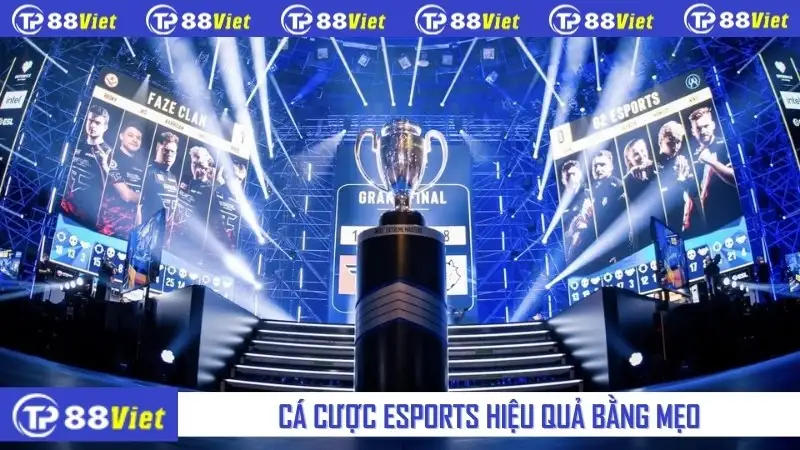 Cá cược esports hiệu quả bằng mẹo