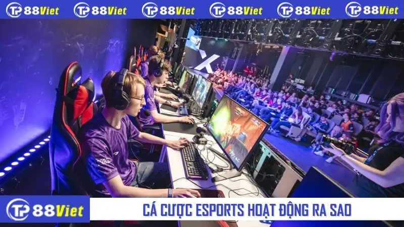 Cá cược esports hoạt động ra sao