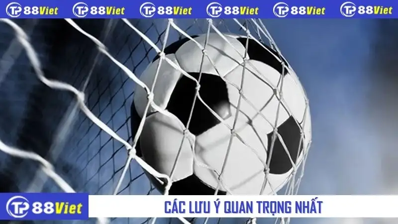 Các lưu ý quan trọng nhất