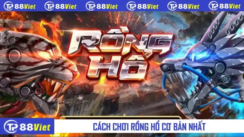 Cách chơi Rồng Hổ cơ bản nhất