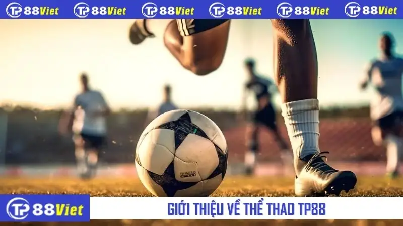 Giới thiệu về thể thao TP88