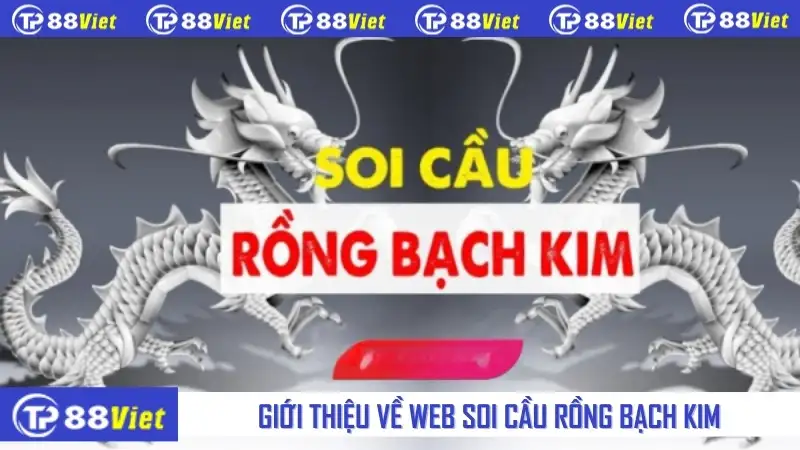 Giới thiệu về web soi cầu rồng bạch kim