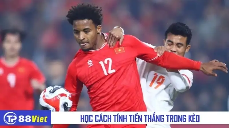 Học cách tính tiền thắng trong kèo cược xâu