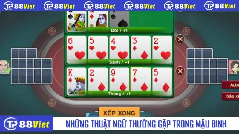 Những thuật ngữ thường gặp trong mậu binh online cần biết