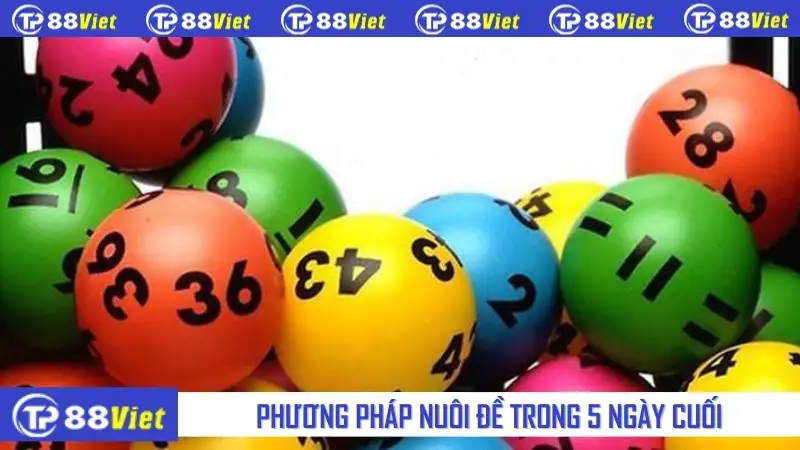 Phương pháp nuôi đề trong 5 ngày cuối