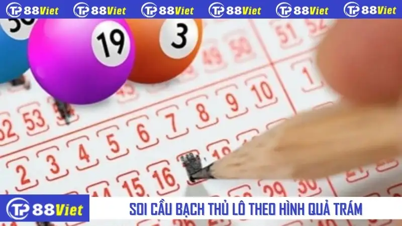 Soi cầu bạch thủ lô dạng quả trám