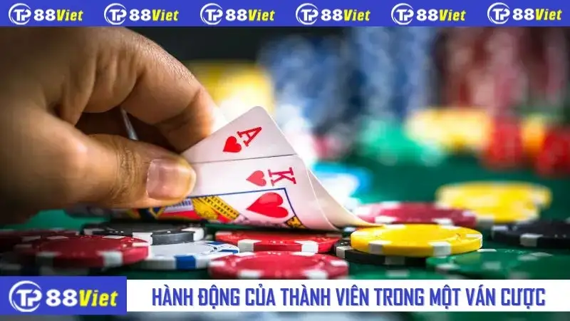 Hành động của thành viên trong một ván cược trực tuyến